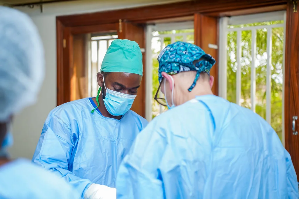 Veterinary care at New Vision Veterinary Hospital