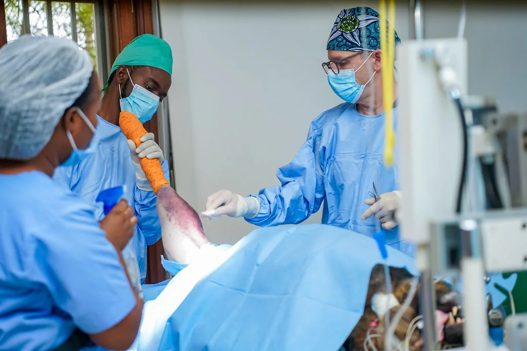 Veterinary surgery at NVVH