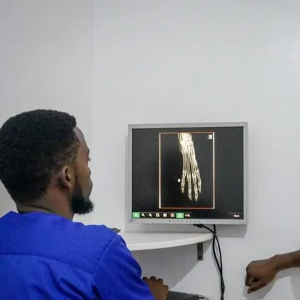 Veterinary diagnostic imaging at NVVH
