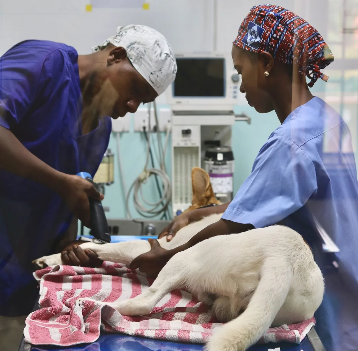 Intensive care at NVVH