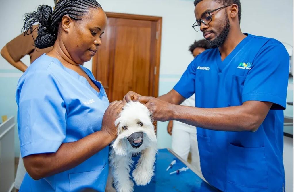 Care, Compassion and Expertise for Every Pet