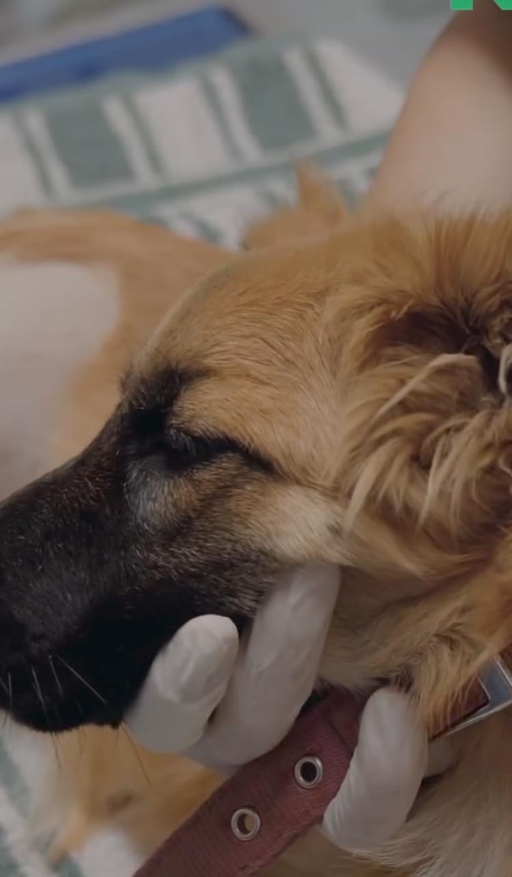 Sky’s Second Chance After a Car Accident