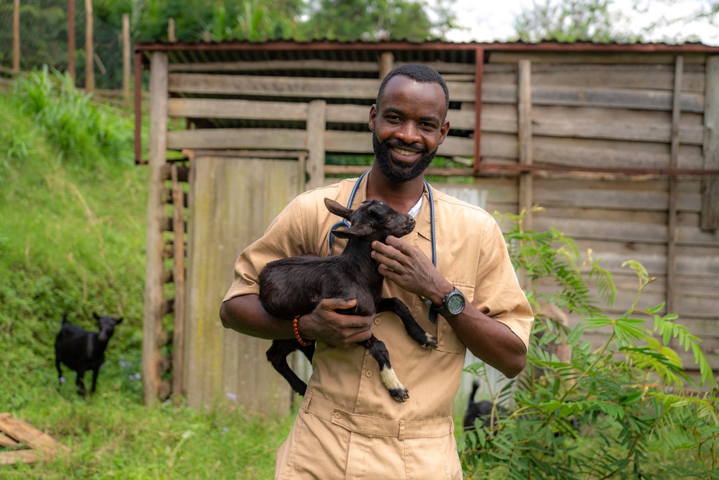 Large animal department at NVVH Musanze