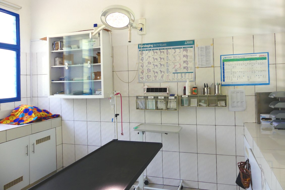 Companion animal care at NVVH Musanze