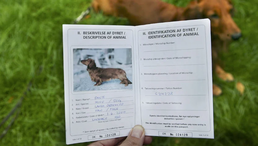 Pet passport and identification document