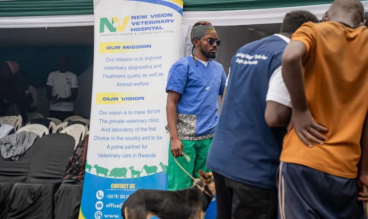 Veterinary professionals working with a dog during the rabies campaign